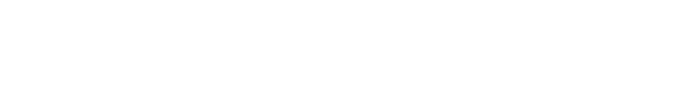 Wisdom Coach Asli Logo