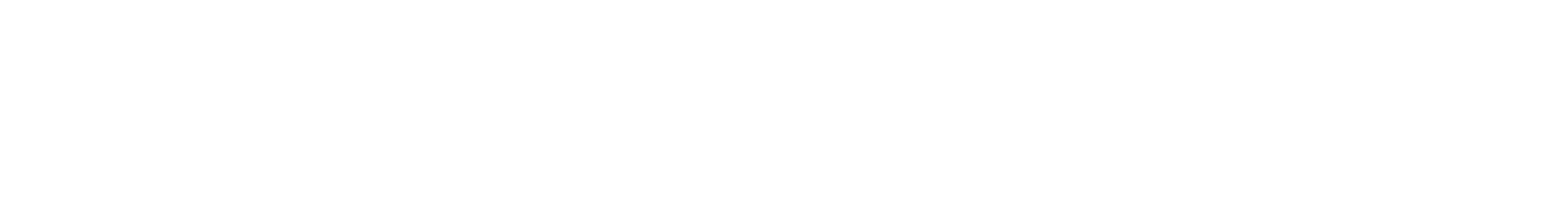 Wisdom Coach Asli Logo